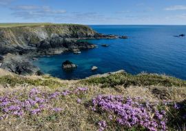 Lais Puzzle - Pembrokeshire, Küste, Wales - 500 & 1.000 Teile