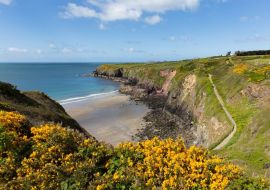 Lais Puzzle - Pembrokeshire Caerfai Bay Wales UK - 500 & 1.000 Teile