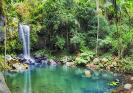 Lais Puzzle - Mount Tamborine, Queensland, Australien - 500 & 1.000 Teile