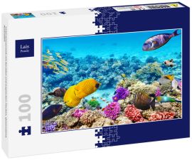 Lais Puzzle - Unterwasserwelt mit Korallen und tropischen Fischen, Queensland, Australien - 100 Teile