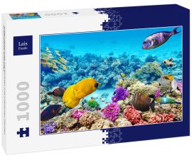 Lais Puzzle - Unterwasserwelt mit Korallen und tropischen Fischen, Queensland, Australien - 1.000 Teile