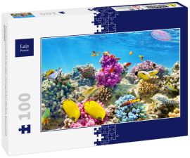 Lais Puzzle - Unterwasserwelt mit Korallen und tropischen Fischen, Queensland, Australien - 100 Teile