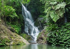 Lais Puzzle - Wasserfall im Lamington National Park in Queensland, Australien - 500 & 1.000 Teile