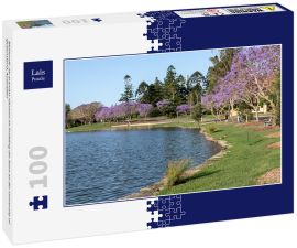 Lais Puzzle - Blühende Jacarandas säumen im Frühling die Seen an der University of Queensland, Australien - 100 Teile