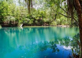Lais Puzzle - Berry Springs, eine Süßwasserquelle im Northern Territory, Australien - 500 & 1.000 Teile