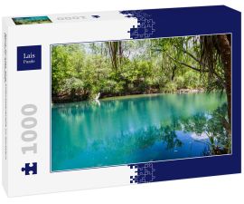 Lais Puzzle - Berry Springs, eine Süßwasserquelle im Northern Territory, Australien - 1.000 Teile