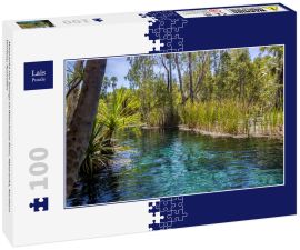 Lais Puzzle - Mataranka Hot Springs im Waterhouse River, Mataranka, Northern Territory, Australien - 100 Teile