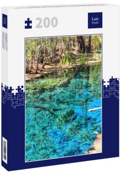 Lais Puzzle - Palmen am Mataranka River in Australien haben eine natürliche Schönheit mit schönem blauen Wasser, im Northern Territory, Australien - 200 Teile