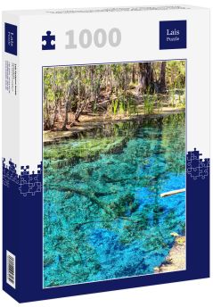 Lais Puzzle - Palmen am Mataranka River in Australien haben eine natürliche Schönheit mit schönem blauen Wasser, im Northern Territory, Australien - 1.000 Teile