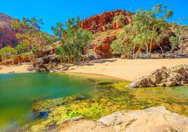 Lais Puzzle - Szenische Landschaft von Ormiston Gorge Water Hole mit Geistergummi in West MacDonnell Ranges, Northern Territory, Australien - 500 & 1.000 Teile