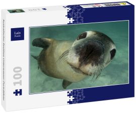 Lais Puzzle - Australischer Seelöwe Unterwasser-Porträtfoto - 100 Teile