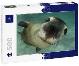 Lais Puzzle - Australischer Seelöwe Unterwasser-Porträtfoto - 500 Teile