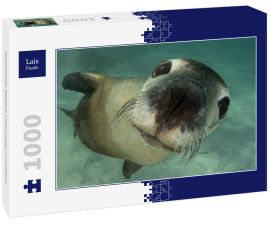 Lais Puzzle - Australischer Seelöwe Unterwasser-Porträtfoto - 1.000 Teile