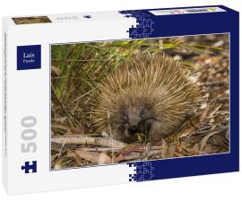 Lais Puzzle - Kangaroo Island, Südaustralien: Ameisenigel auf Nahrungssuche im australischen Busch - 500 Teile