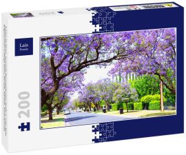 Lais Puzzle - Schöne lila Blume Jacaranda Baum gesäumten Straße in voller Blüte. Aufgenommen in Allinga Street, Glenside, Adelaide, South Australia - 200 Teile
