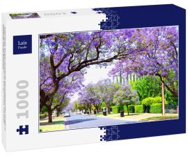 Lais Puzzle - Schöne lila Blume Jacaranda Baum gesäumten Straße in voller Blüte. Aufgenommen in Allinga Street, Glenside, Adelaide, South Australia - 1.000 Teile