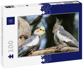 Lais Puzzle - Nymphensittich; Adelaide Australien - 100 Teile