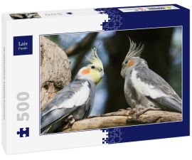 Lais Puzzle - Nymphensittich; Adelaide Australien - 500 Teile