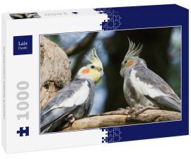 Lais Puzzle - Nymphensittich; Adelaide Australien - 1.000 Teile