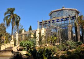Lais Puzzle - Palmenhaus in einem botanischen Garten, Adelaide, Australien - 500 & 1.000 Teile