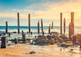 Lais Puzzle - Port Willunga Beach, Adelaide, Australien - 500 & 1.000 Teile