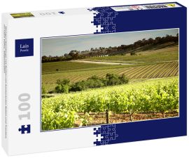 Lais Puzzle - Weingut Weinberge mit Reihen von konturierten Reben und Trauben, im Clare Valley, Südaustralien - 100 Teile