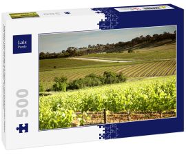 Lais Puzzle - Weingut Weinberge mit Reihen von konturierten Reben und Trauben, im Clare Valley, Südaustralien - 500 Teile