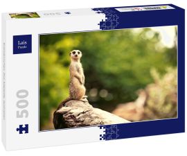 Lais Puzzle - Erdmännchen, Zoo Adelaide, Australien - 500 Teile