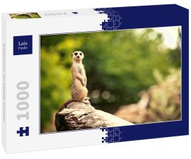 Lais Puzzle - Erdmännchen, Zoo Adelaide, Australien - 1.000 Teile