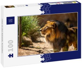 Lais Puzzle - Löwe im Zoo Adelaide, Australien - 100 Teile