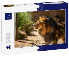 Lais Puzzle - Löwe im Zoo Adelaide, Australien - 500 Teile