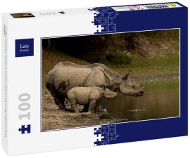 Lais Puzzle - Großes Indisches Nashorn und sein Kalb im Kaziranga National Park, Indien - 100 Teile