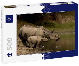 Lais Puzzle - Großes Indisches Nashorn und sein Kalb im Kaziranga National Park, Indien - 500 Teile