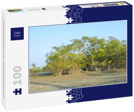 Lais Puzzle - Eine Pflanzenlandschaft im Dibru-Saikhowa-Nationalpark, Indien - 100 Teile