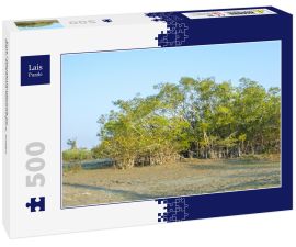 Lais Puzzle - Eine Pflanzenlandschaft im Dibru-Saikhowa-Nationalpark, Indien - 500 Teile