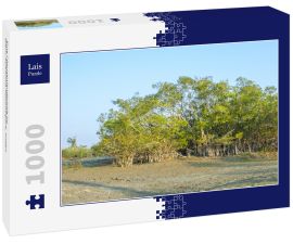Lais Puzzle - Eine Pflanzenlandschaft im Dibru-Saikhowa-Nationalpark, Indien - 1.000 Teile