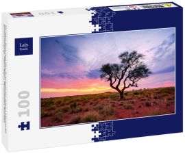 Lais Puzzle - Ein Hakea-Baum steht allein im australischen Outback während des Sonnenuntergangs. Pilbara-Region, Westaustralien, Australien - 100 Teile