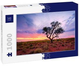 Lais Puzzle - Ein Hakea-Baum steht allein im australischen Outback während des Sonnenuntergangs. Pilbara-Region, Westaustralien, Australien - 1.000 Teile