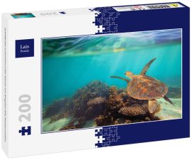 Lais Puzzle - Schildkröte schwimmt unter Wasser am Ningaloo Riff, Westaustralien - 200 Teile