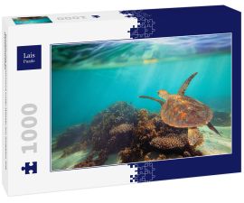 Lais Puzzle - Schildkröte schwimmt unter Wasser am Ningaloo Riff, Westaustralien - 1.000 Teile