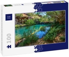 Lais Puzzle - Fern-Pool in der Dales-Schlucht, Karijini-Nationalpark, Westaustralien - 100 Teile