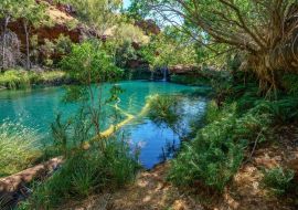 Lais Puzzle - Fern-Pool in der Dales-Schlucht, Karijini-Nationalpark, Westaustralien - 500 & 1.000 Teile