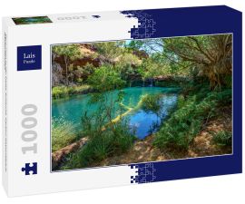 Lais Puzzle - Fern-Pool in der Dales-Schlucht, Karijini-Nationalpark, Westaustralien - 1.000 Teile