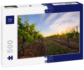 Lais Puzzle - Weingut Hunter Valley, Australien - 500 Teile