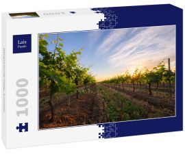 Lais Puzzle - Weingut Hunter Valley, Australien - 1.000 Teile