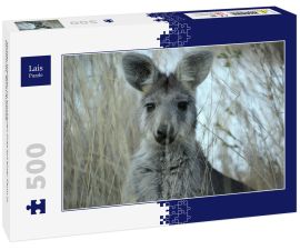 Lais Puzzle - Mutter Wallaby im trockenen Gras auf einer Farm in Tamworth, Rural Australia - 500 Teile