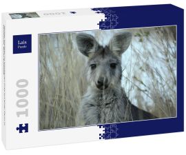 Lais Puzzle - Mutter Wallaby im trockenen Gras auf einer Farm in Tamworth, Rural Australia - 1.000 Teile