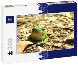Lais Puzzle - Grüner Laubfrosch in der Laubstreu des Waldes, Australien - 200 Teile