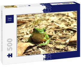Lais Puzzle - Grüner Laubfrosch in der Laubstreu des Waldes, Australien - 500 Teile