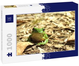 Lais Puzzle - Grüner Laubfrosch in der Laubstreu des Waldes, Australien - 1.000 Teile